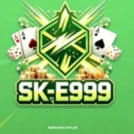 E999 Game APK