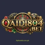 Qaidi804Bet Game APK