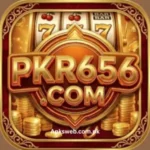 PKR656