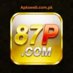 87P Game