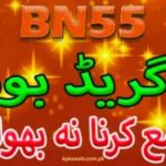 bn55 game