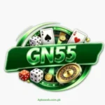 GN55 Game App
